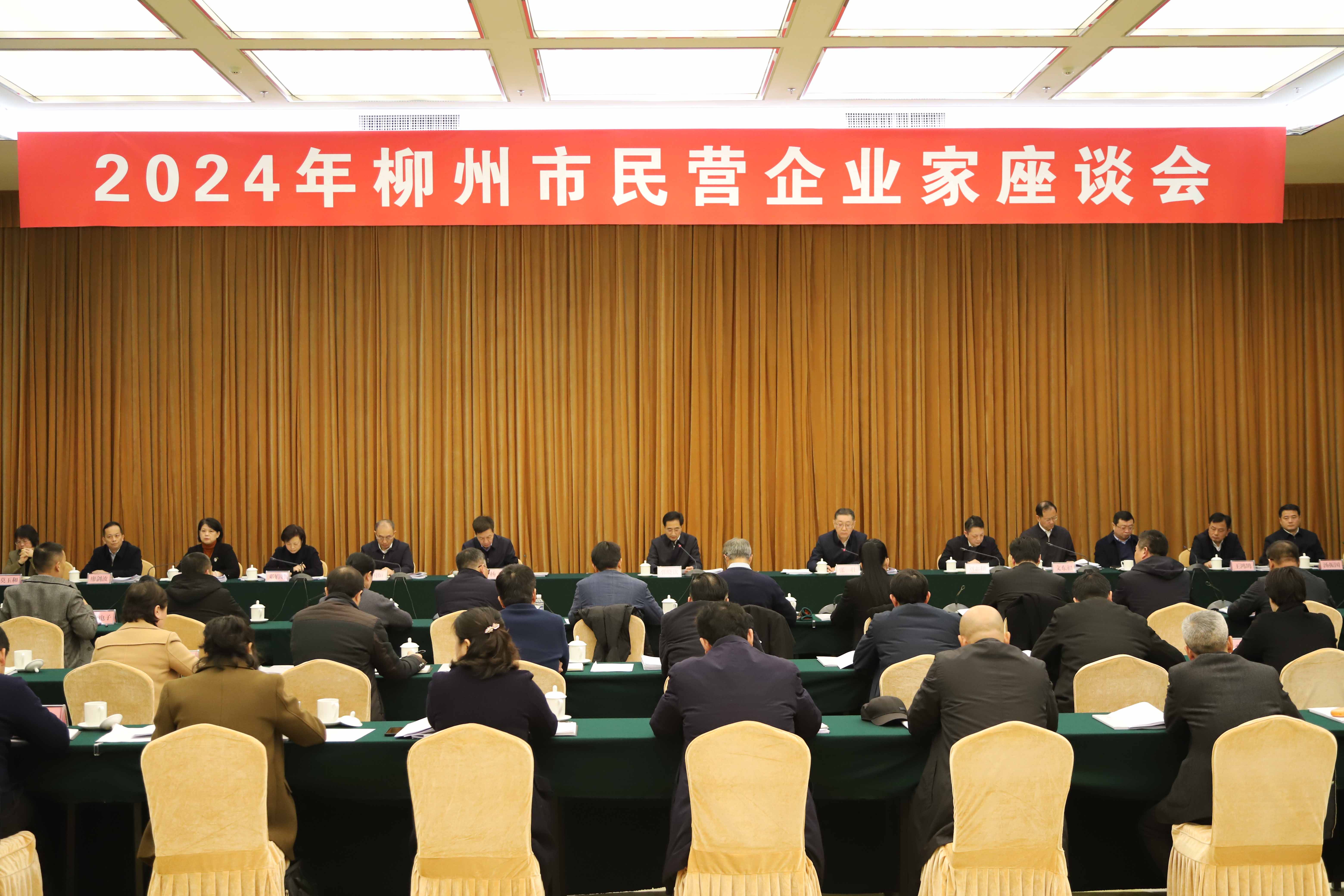 柳州市召开2024年民营企业家座谈会