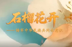 《石榴花开》第1集：铸牢中华民族共同体意识