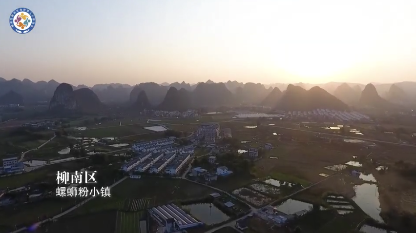 新使命·新力量——新时代柳南区新的社会阶层人士统战工作纪实